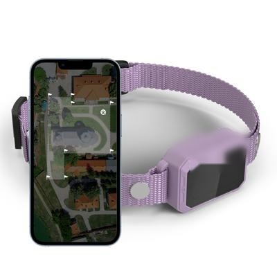 Purple collar colour option